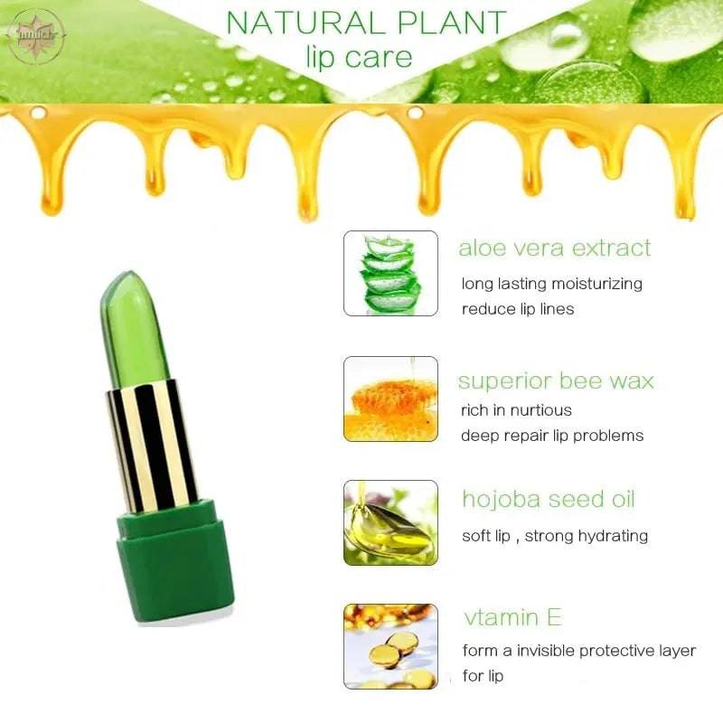 Aloe Vera Moisturizing Lip Balm - Lamiiche