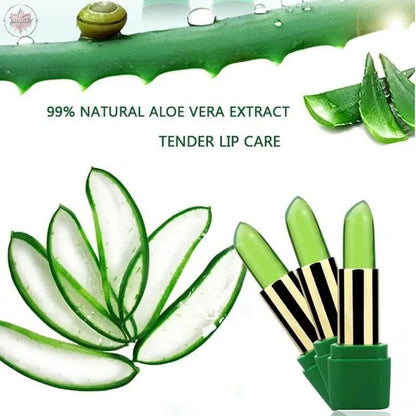 Aloe Vera Moisturizing Lip Balm - Lamiiche