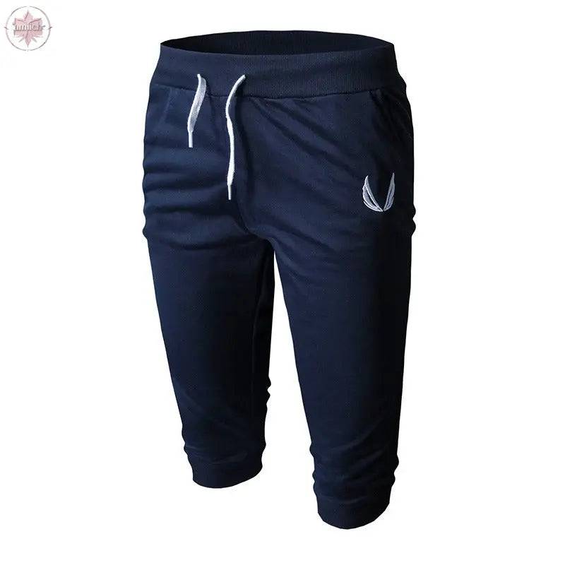 Summer casual pants men's shorts sports outdoor breathable elastic men's muscle fitness - Lamiiche