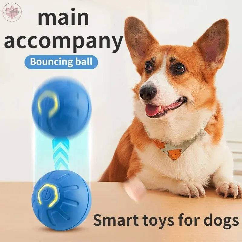 Smart Dog Toy Ball Electronic Interactive Pet Toy Moving Ball USB Automatic Moving Bouncing for Puppy Birthday Gift Cat Product - Lamiiche