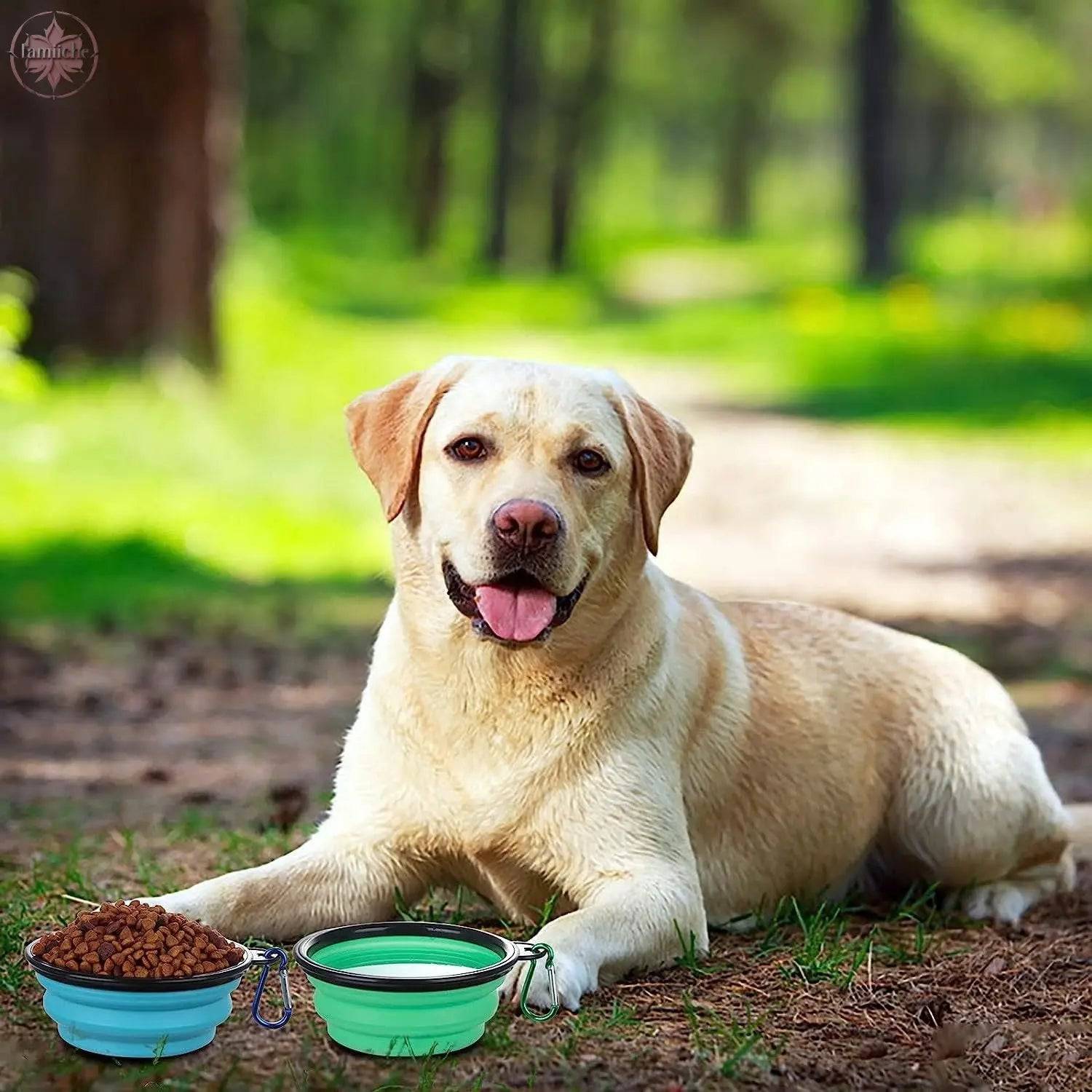 Portable pet dog folding bowl slow food bowl silicone pet bowl dog basin cat bowl drinking water supplies - Lamiiche