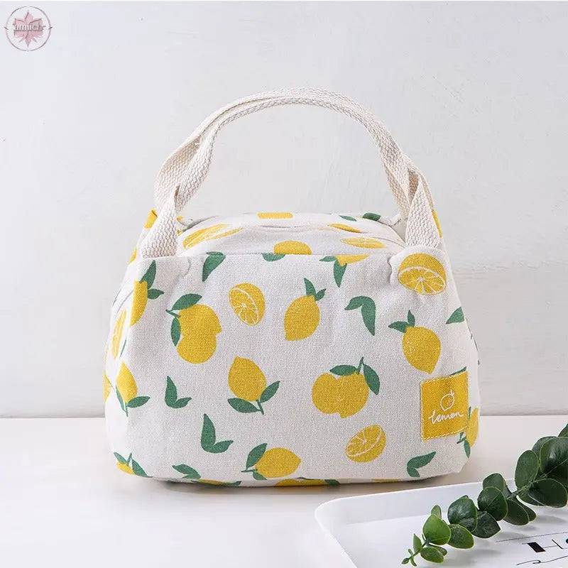 Insulated bag with thick aluminum foil, insulated lunch box bag with zipper, rice bag, meal bag, lunch box bag - Lamiiche