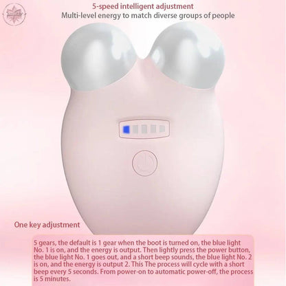 Facial Toning Device - Lamiiche